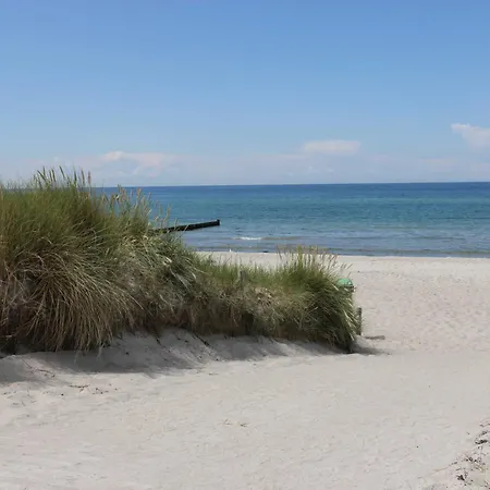 Kaeptn Brass App 8 Dierhagen