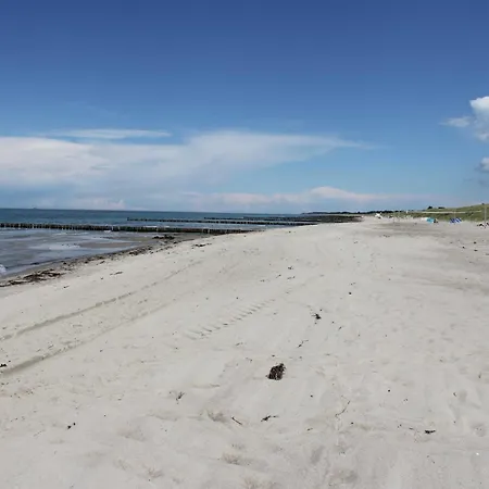 Kaeptn Brass App 8 * Dierhagen