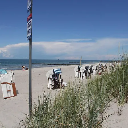 Kaeptn Brass App 8 * Dierhagen