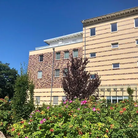 Daire Kaeptn Brass App 8