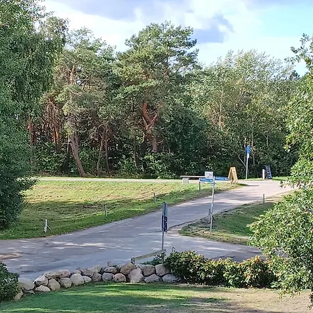 Kaeptn Brass App 8 * Dierhagen