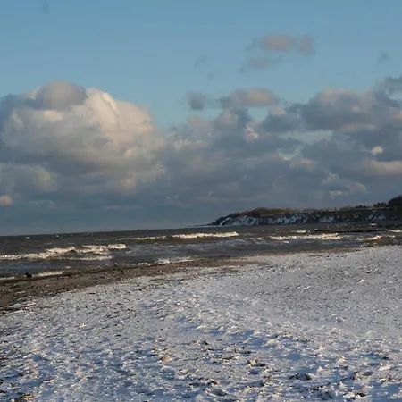 Daire Kaeptn Brass App 8