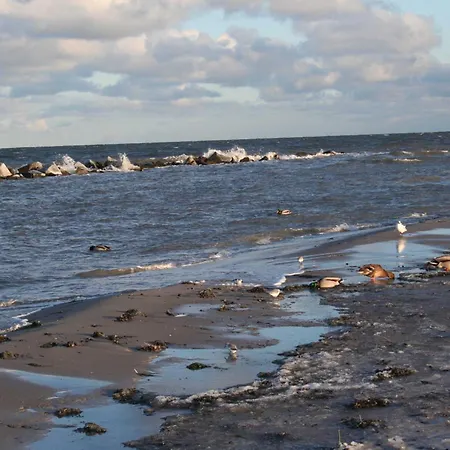 Kaeptn Brass App 8 Dierhagen