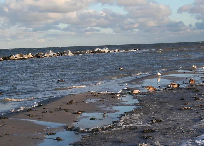 Kaeptn Brass App 8 Дирхаген